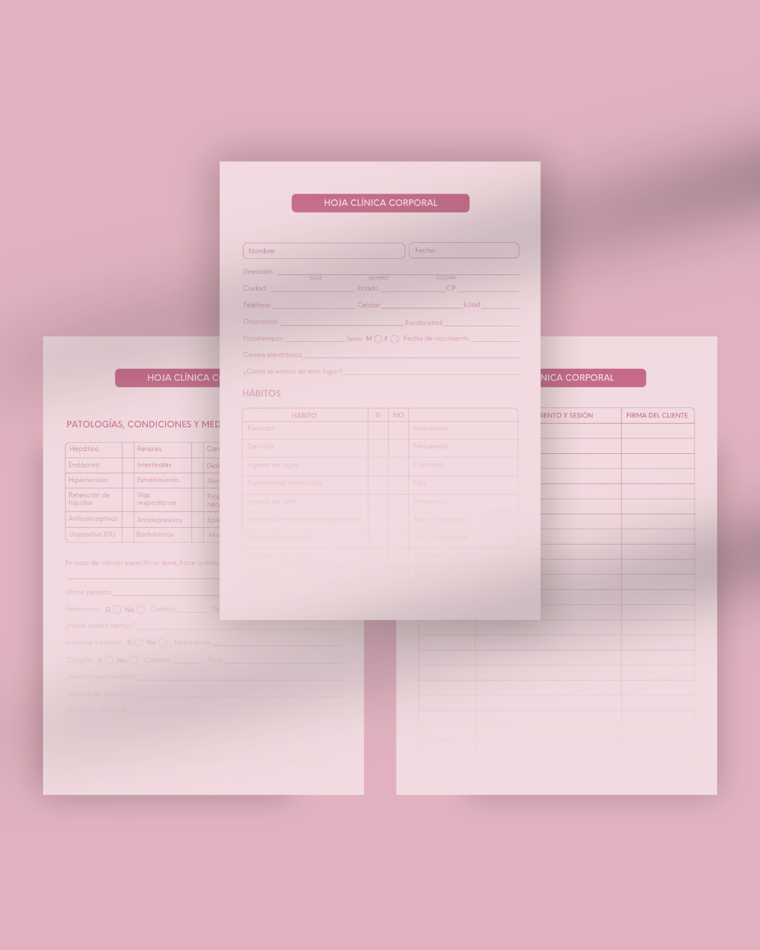 Hoja clínica corporal